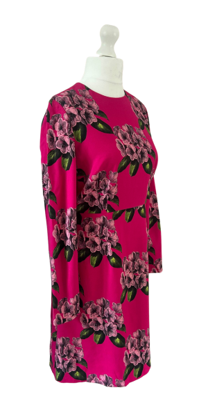 Hobbs Pink Floral Dress